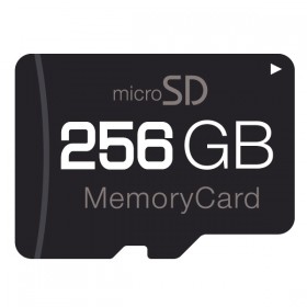 MicroSD Card - 256GB (Micro SDXC)